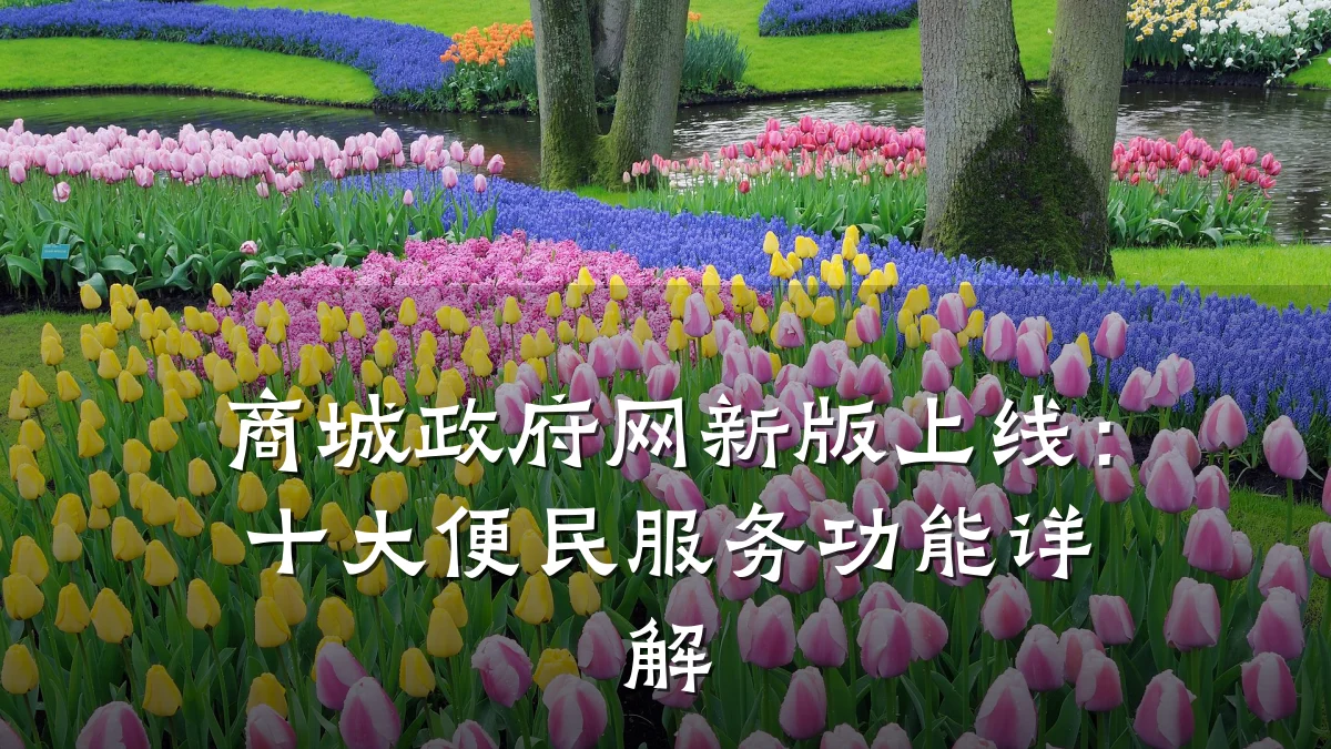 商城政府网新版上线：十大便民服务功能详解