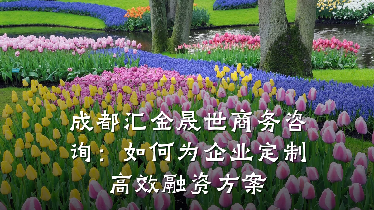 成都汇金晟世商务咨询:如何为企业定制高效融资方案