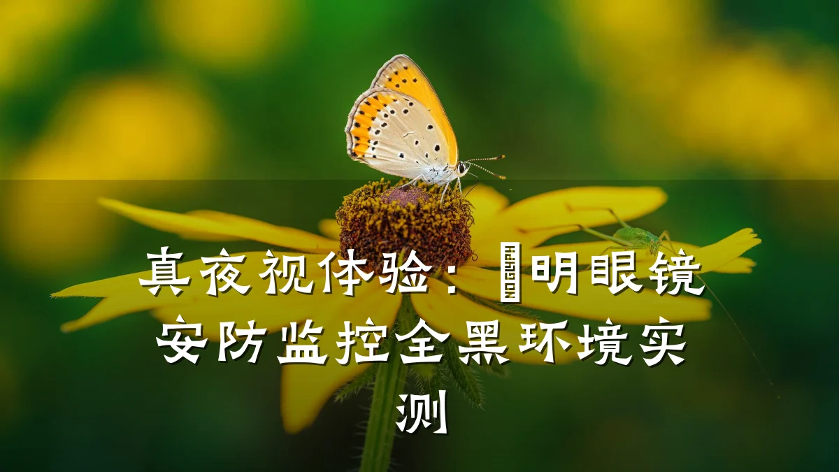真夜视体验：晢明眼镜安防监控全黑环境实测