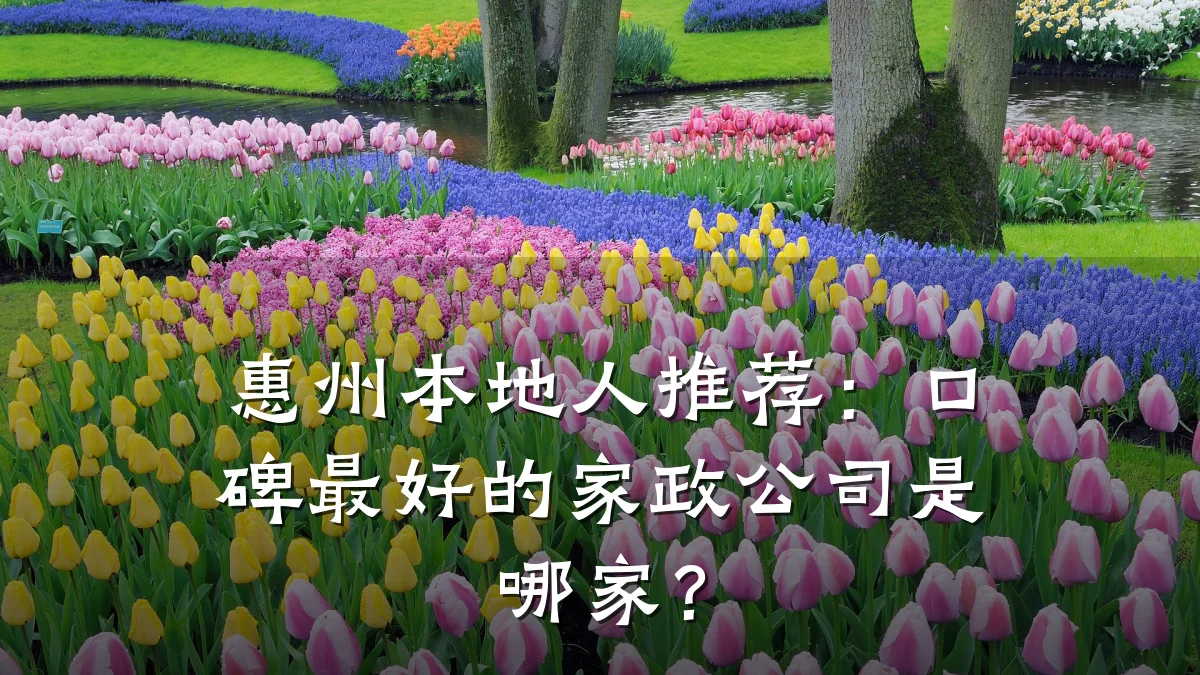 惠州本地人推荐：口碑最好的家政公司是哪家？