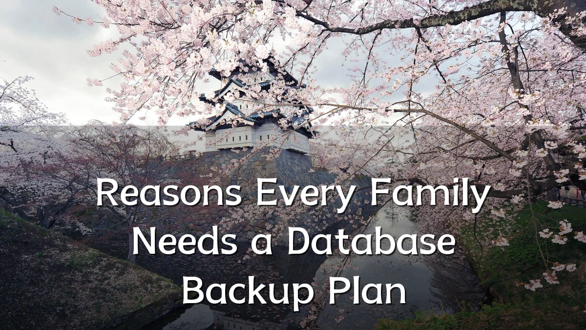 Reasons Every Family Needs a Database Backup Plan