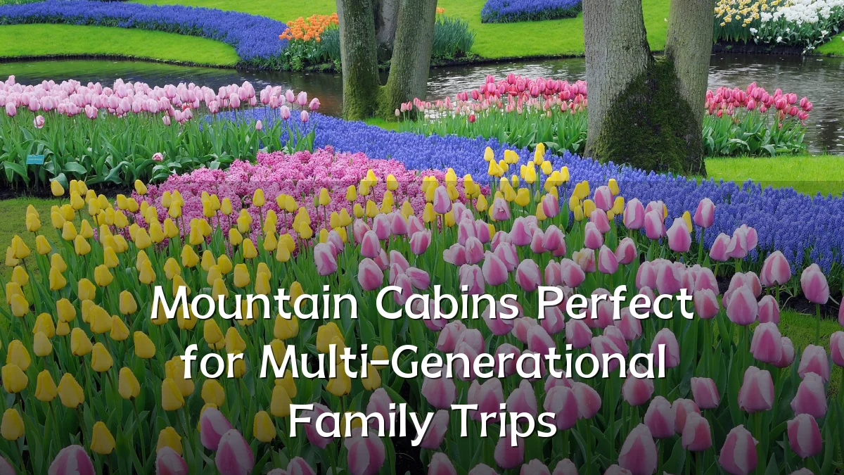 Mountain Cabins Perfect for Multi-Generational Family Trips