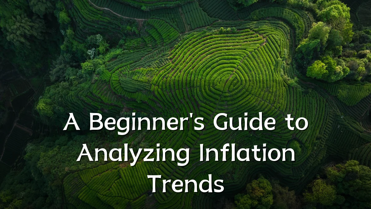 A Beginner's Guide to Analyzing Inflation Trends