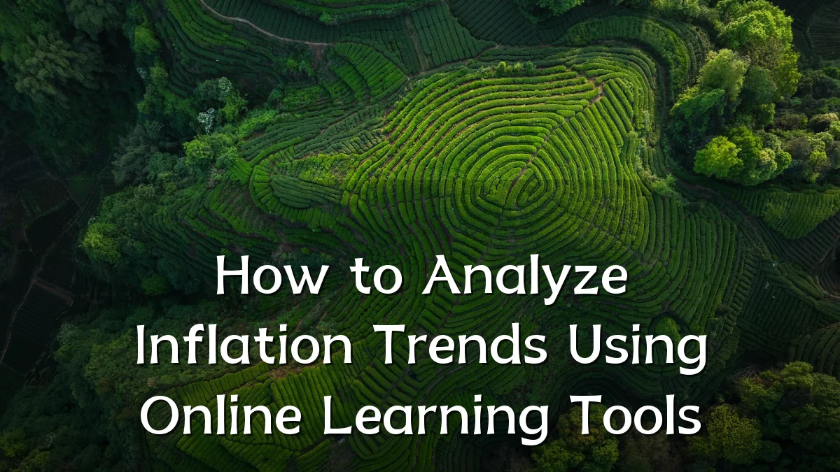 How to Analyze Inflation Trends Using Online Learning Tools