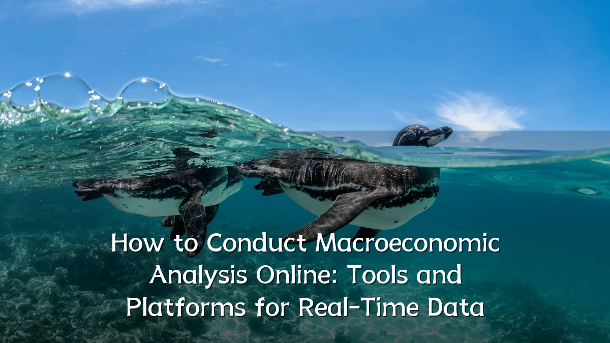 How to Conduct Macroeconomic Analysis Online: Tools and Platforms for Real-Time Data