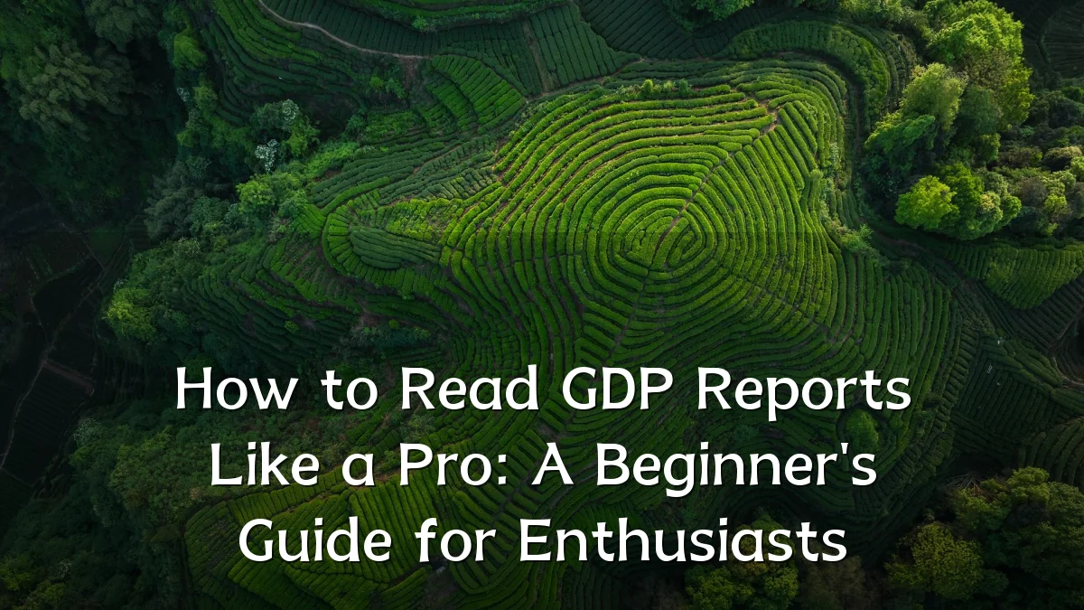 How to Read GDP Reports Like a Pro: A Beginner's Guide for Enthusiasts