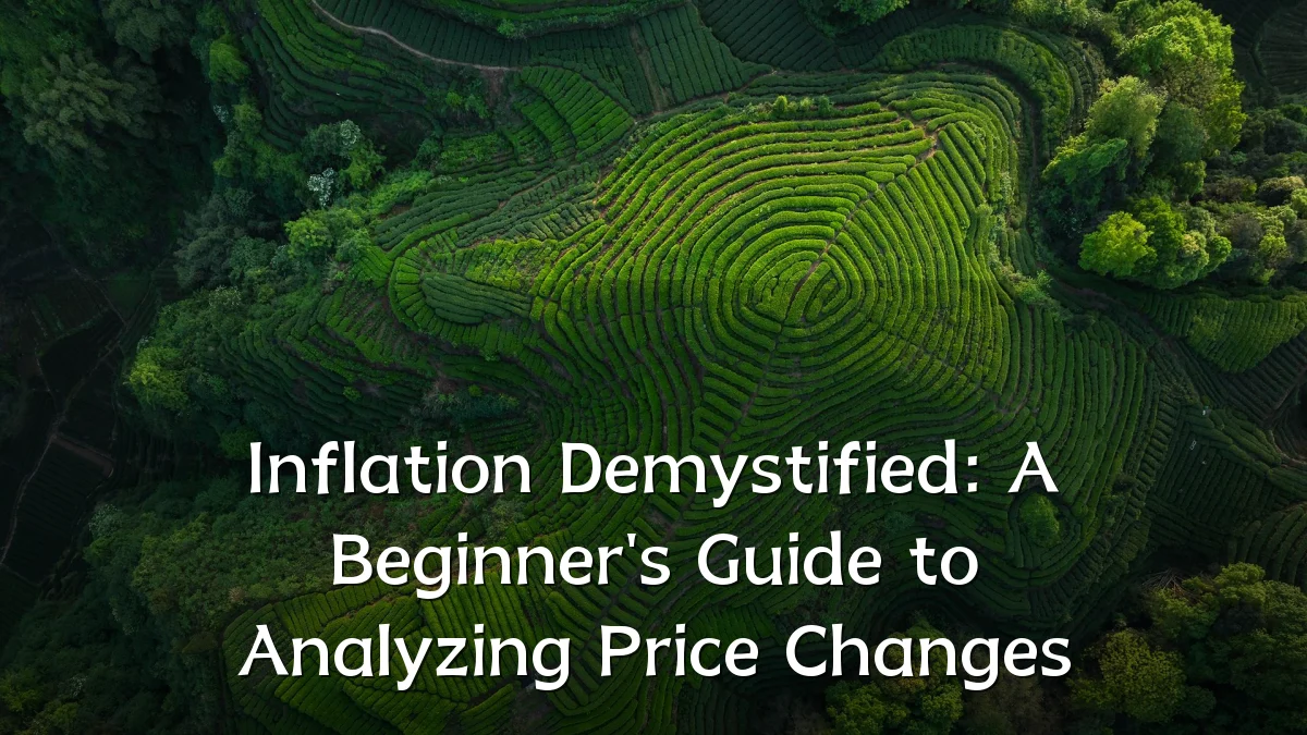 Inflation Demystified: A Beginner's Guide to Analyzing Price Changes