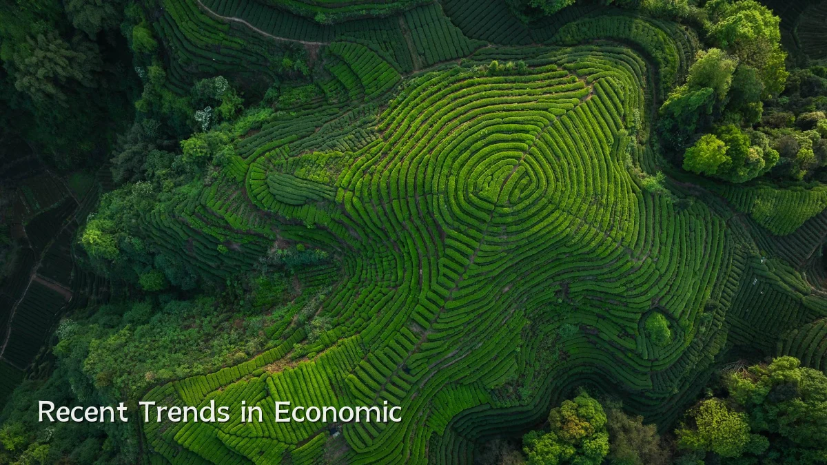 Recent Trends in Economic
