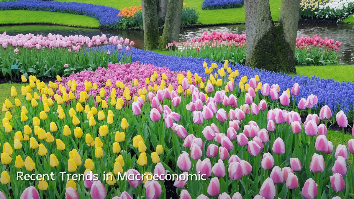 Recent Trends in Macroeconomic