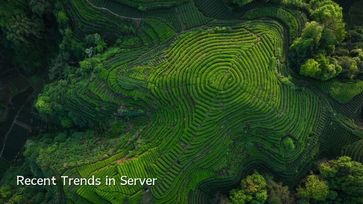 Recent Trends in Server
