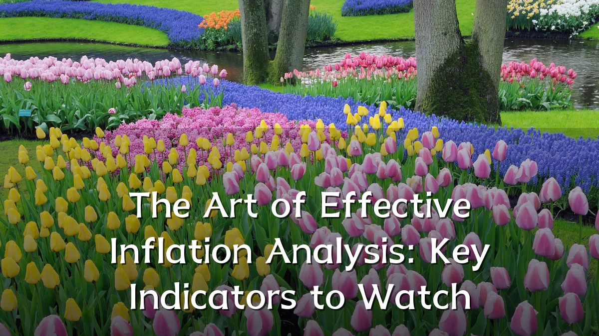 The Art of Effective Inflation Analysis: Key Indicators to Watch