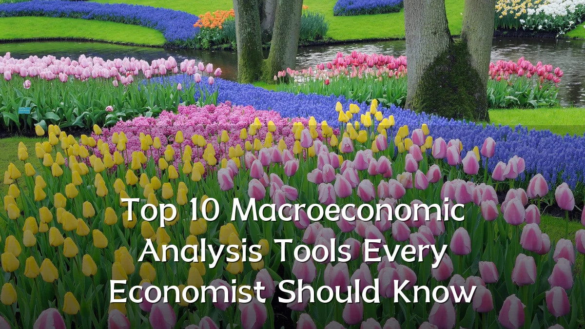 Top 10 Macroeconomic Analysis Tools Every Economist Should Know
