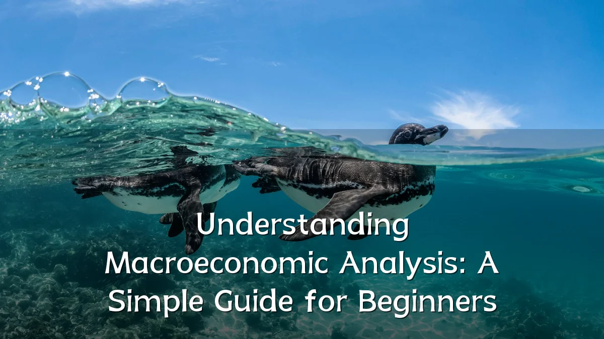 Understanding Macroeconomic Analysis: A Simple Guide for Beginners