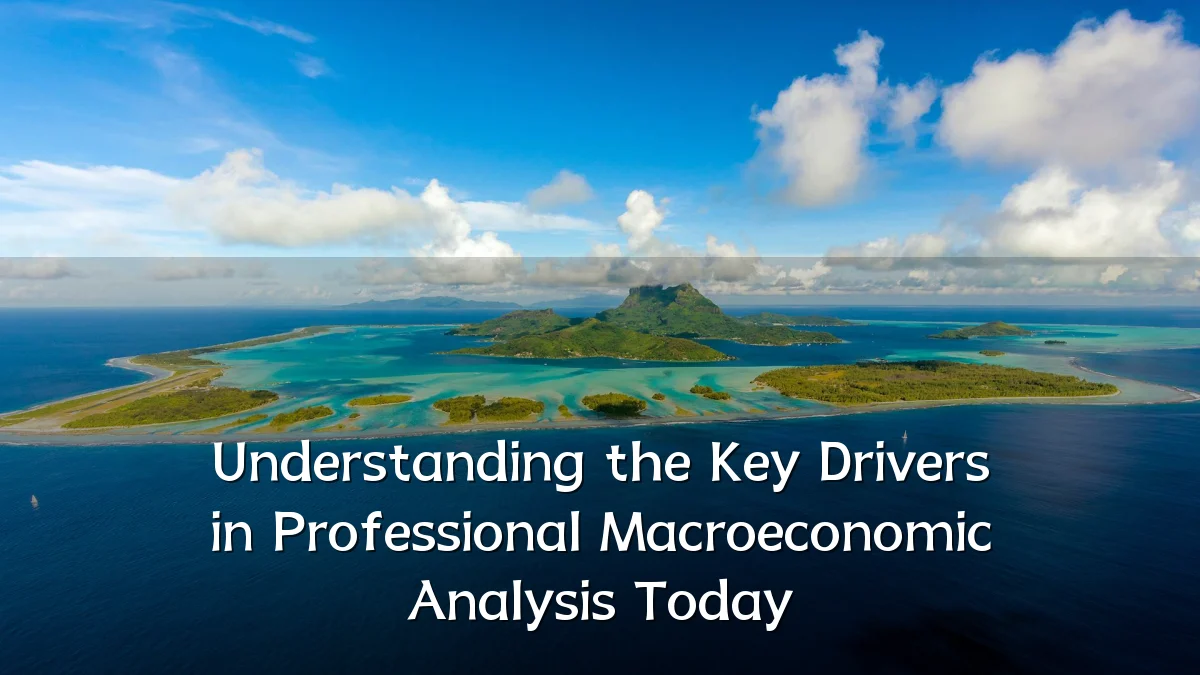 Understanding the Key Drivers in Professional Macroeconomic Analysis Today