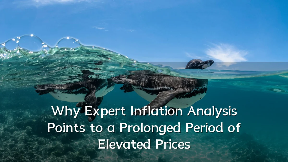 Why Expert Inflation Analysis Points to a Prolonged Period of Elevated Prices