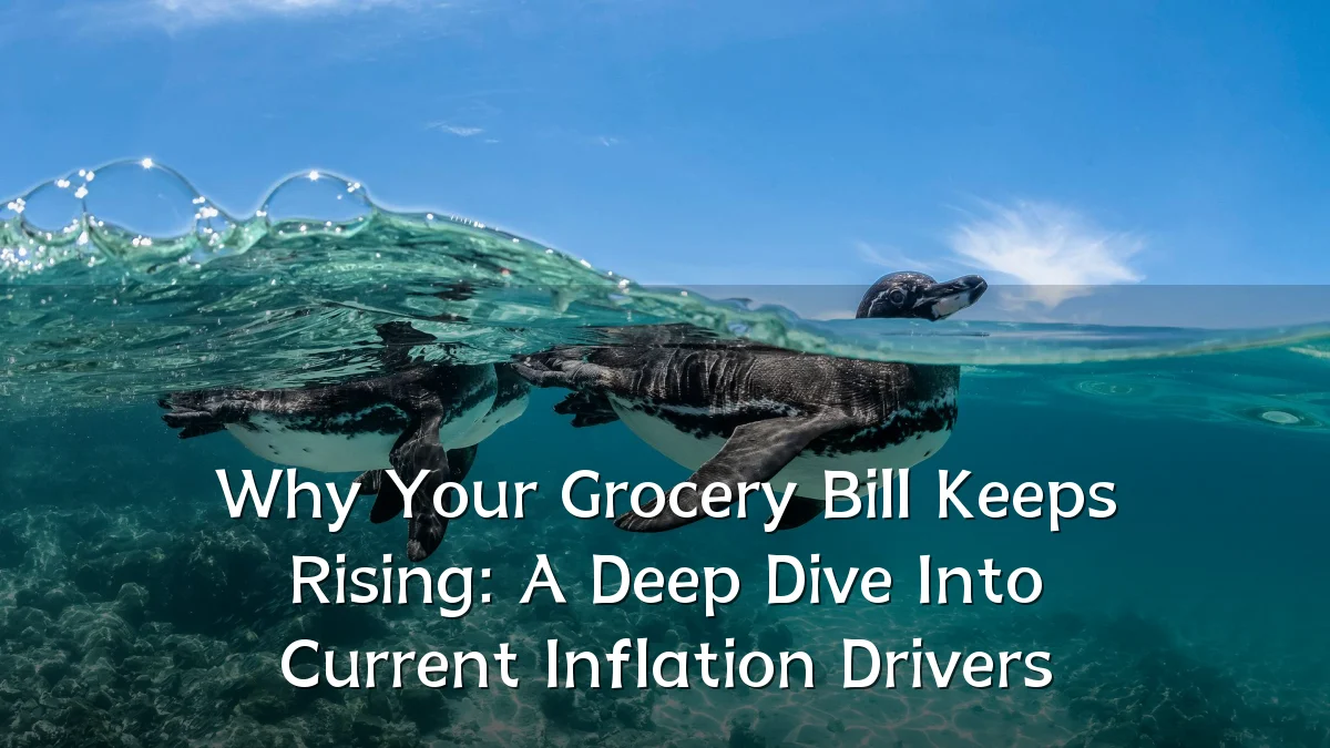 Why Your Grocery Bill Keeps Rising: A Deep Dive Into Current Inflation Drivers
