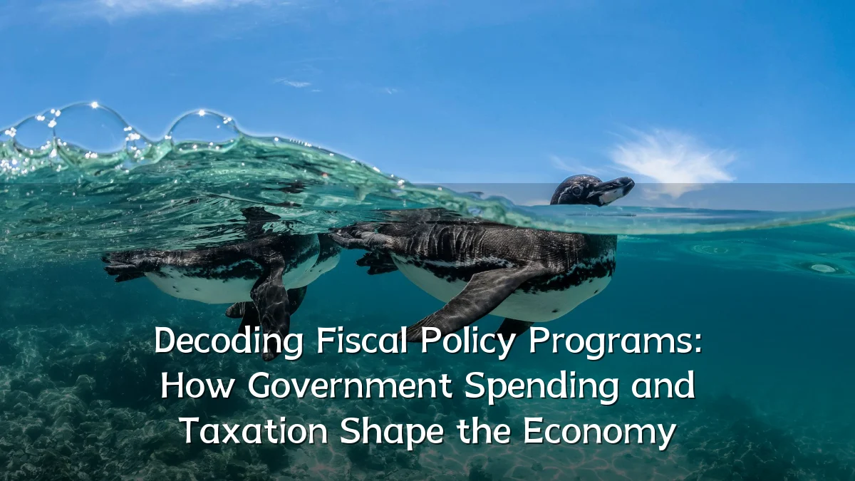 Decoding Fiscal Policy Programs: How Government Spending and Taxation Shape the Economy