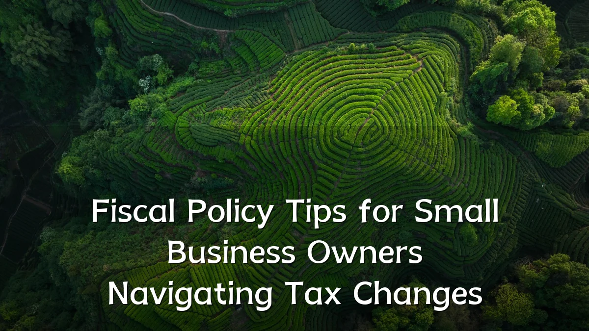 Fiscal Policy Tips for Small Business Owners Navigating Tax Changes