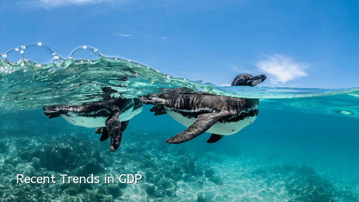 Recent Trends in GDP
