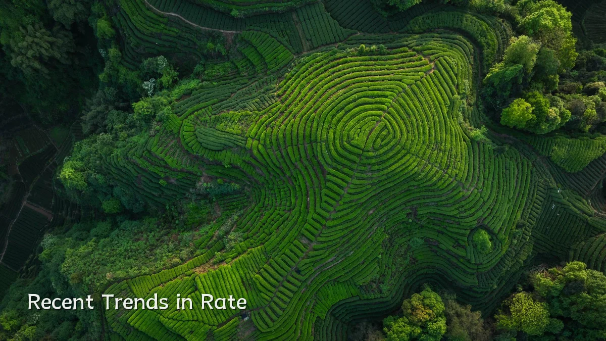 Recent Trends in Rate