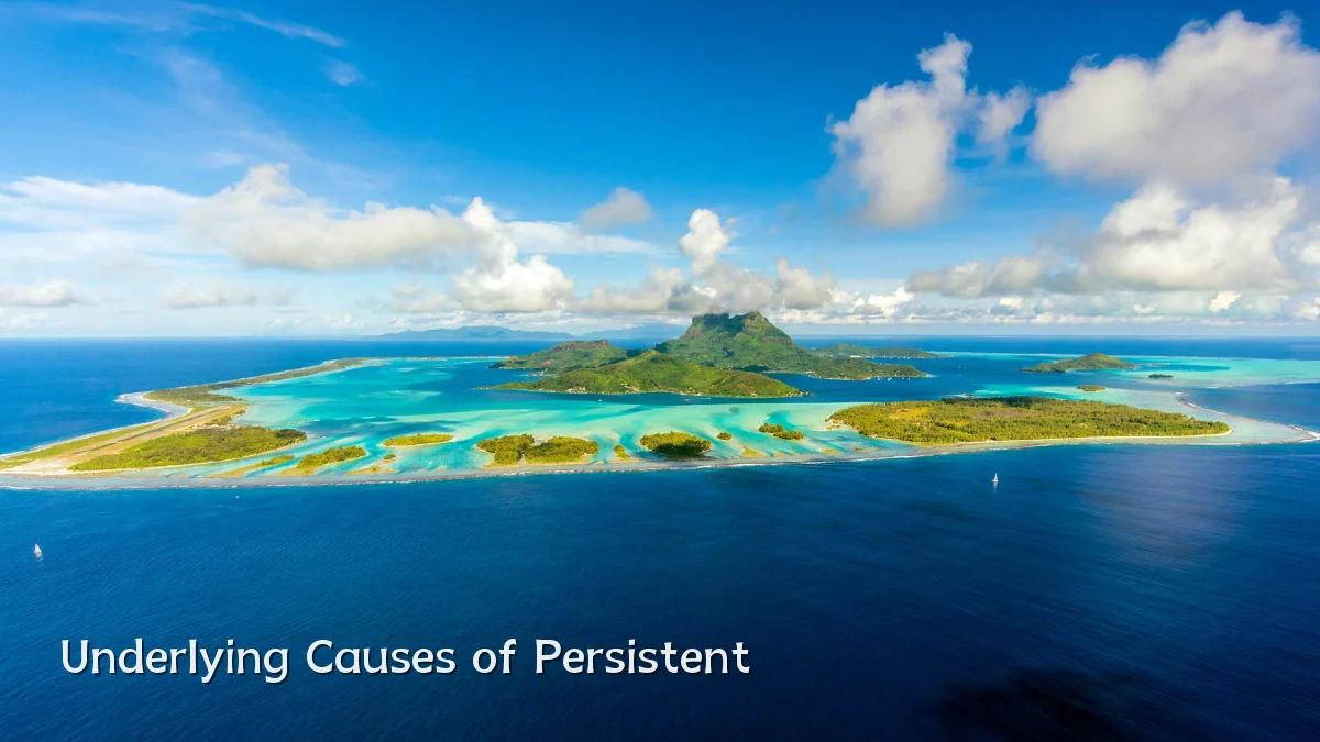 Underlying Causes of Persistent