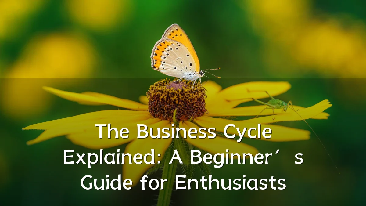 The Business Cycle Explained: A Beginner’s Guide for Enthusiasts
