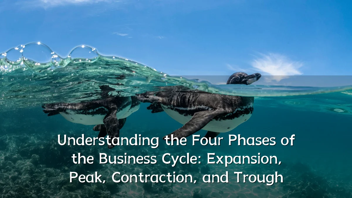 Understanding the Four Phases of the Business Cycle: Expansion, Peak, Contraction, and Trough