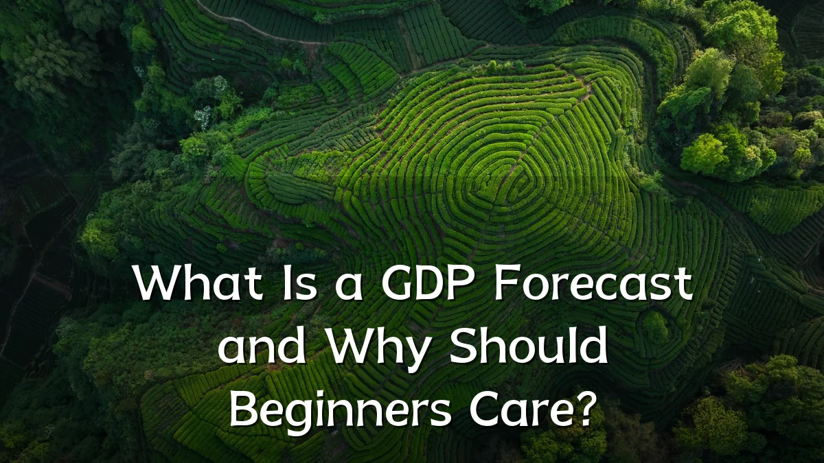 What Is a GDP Forecast and Why Should Beginners Care?