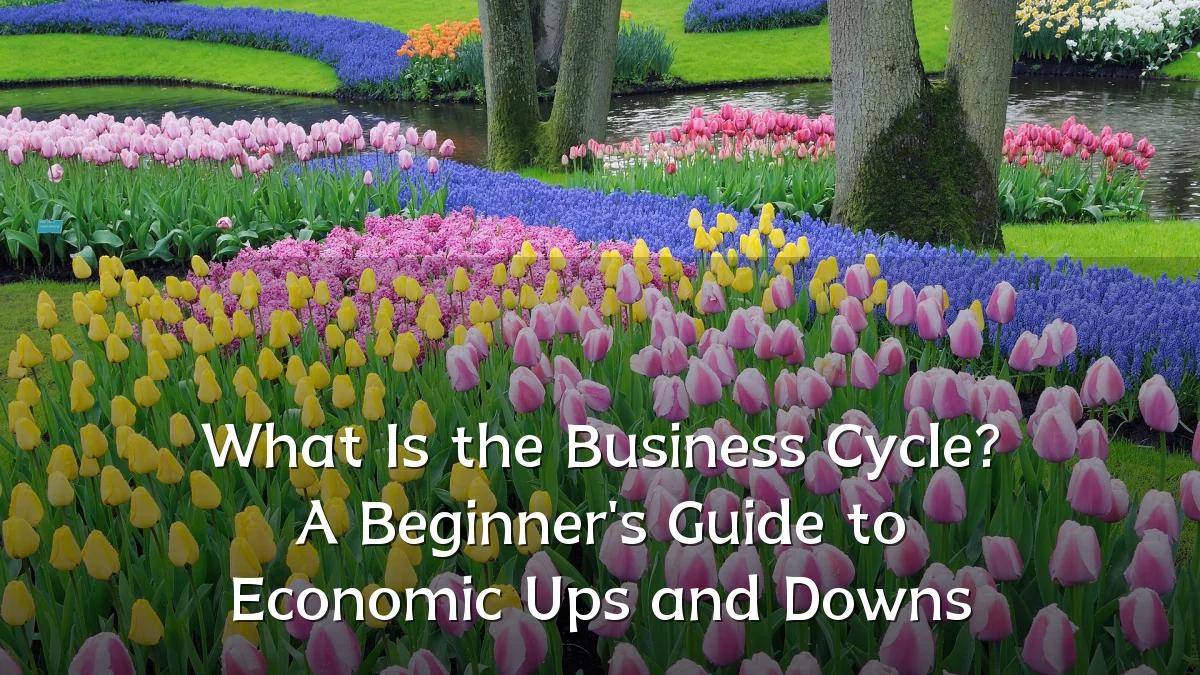 What Is the Business Cycle? A Beginner's Guide to Economic Ups and Downs