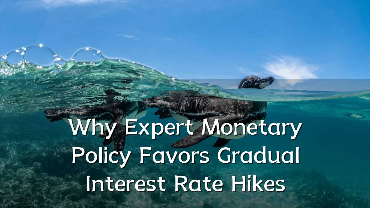 Why Expert Monetary Policy Favors Gradual Interest Rate Hikes