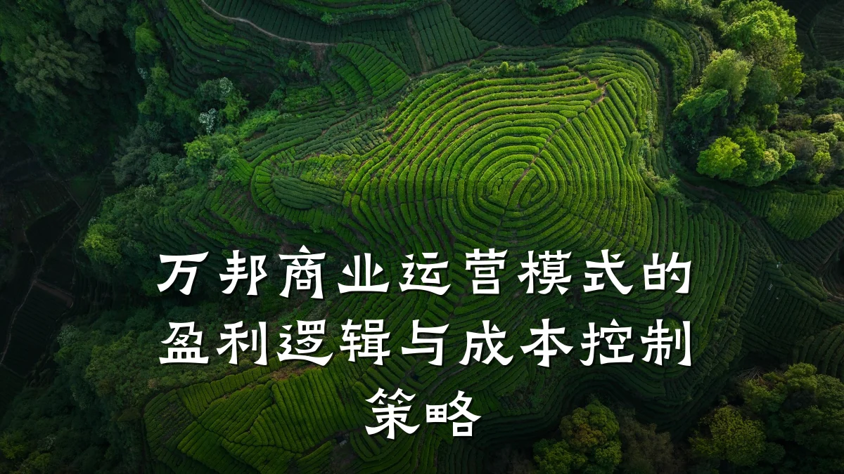 万邦商业运营模式的盈利逻辑与成本控制策略