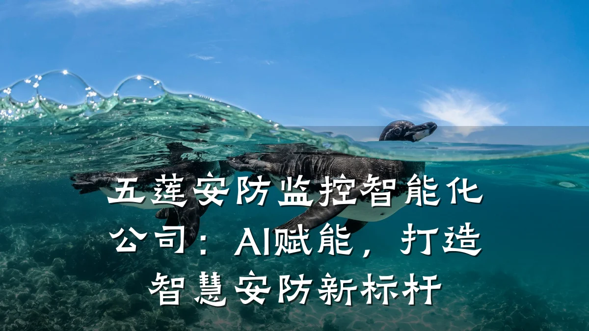 五莲安防监控智能化公司：AI赋能，打造智慧安防新标杆