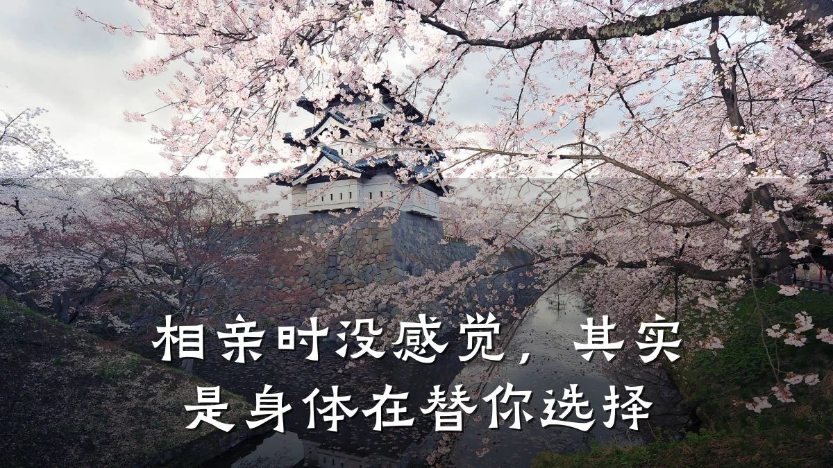 相亲时没感觉,其实是身体在替你选择