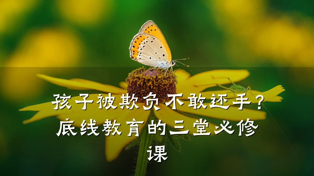 孩子被欺负不敢还手？底线教育的三堂必修课