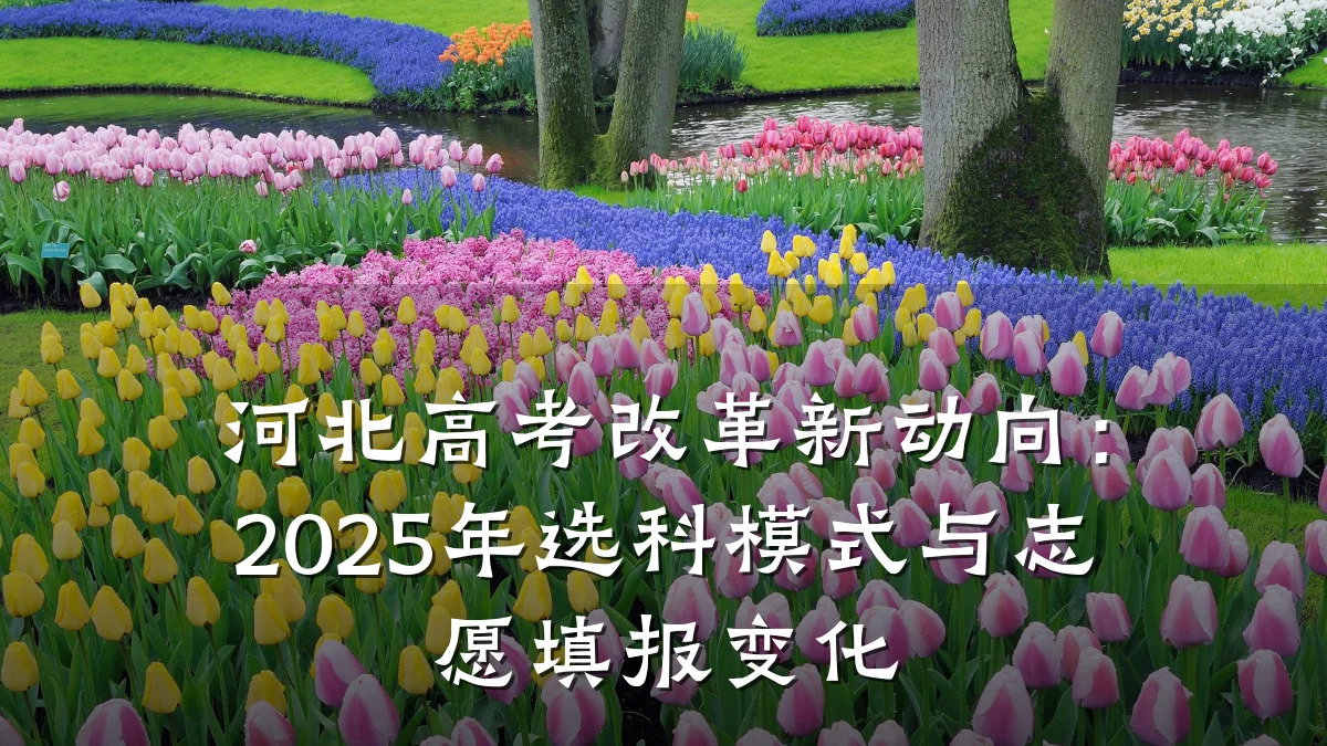 河北高考改革新动向：2025年选科模式与志愿填报变化