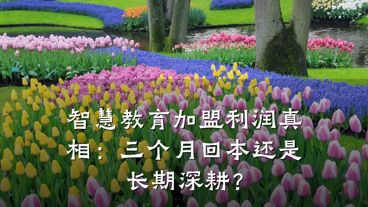 智慧教育加盟利润真相:三个月回本还是长期深耕?